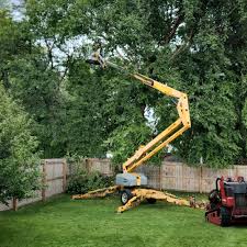 Best Lawn Disease Treatment  in Greenville, NY